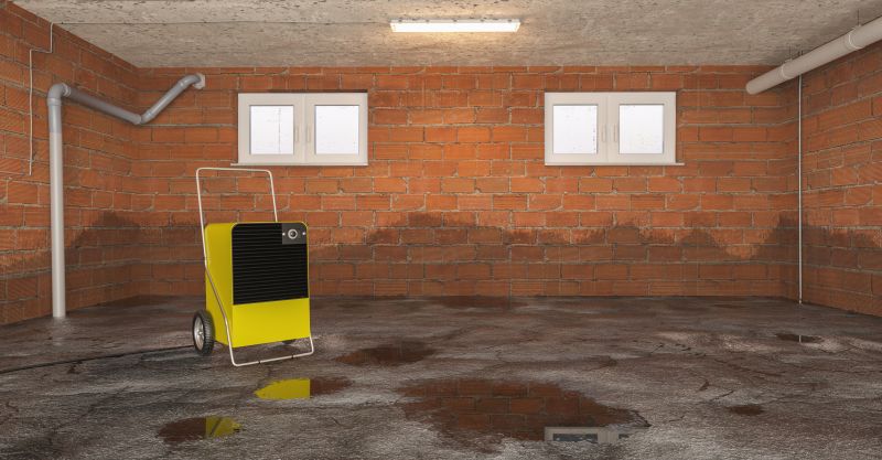 Basement Water Cleanup in Wilmington, NC