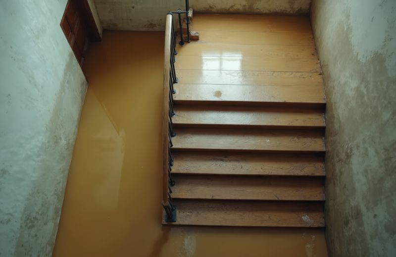 Crawlspace Water Cleanup in Santa Rosa, CA
