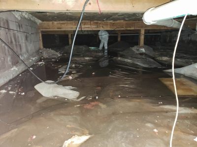 Water Damage Cleanup in Mesa, AZ