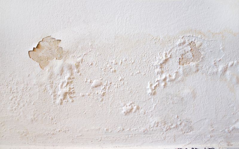 Water Damage Repair in Chandler, AZ
