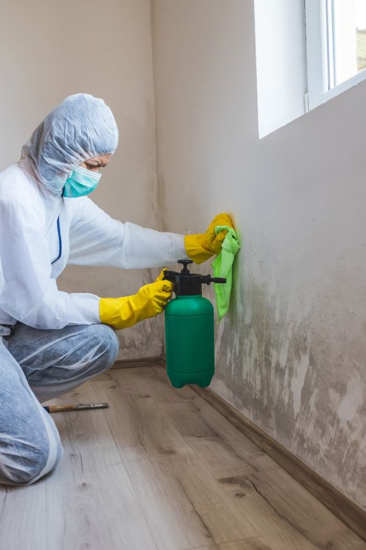 Mold Prevention and Cleanup