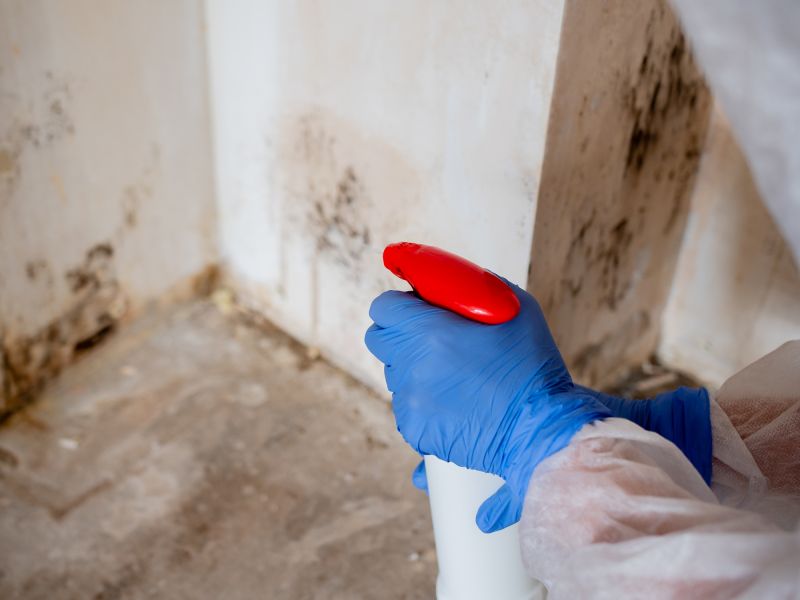 Mold Prevention