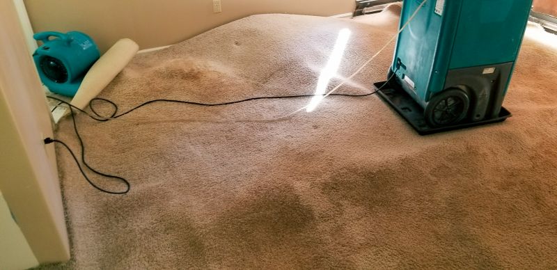 Emergency Water Removal in Mesa, AZ